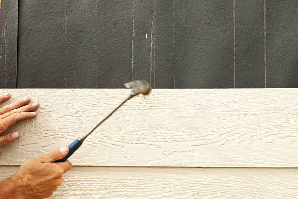 Best Custom Trim and Detailing for Siding  in Cleveland, MS